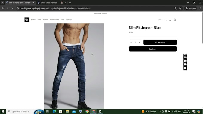build a professional shopify store
