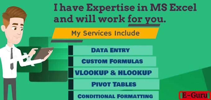 assist you with excel formulas,macros, charts and data entry