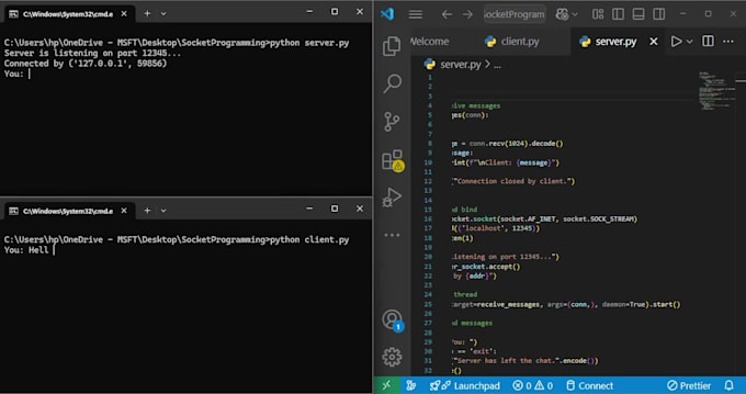 do socket programming, networking tcp ip udp in c cpp python