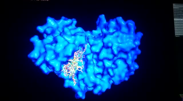 Do virtual screening, and molecular docking with single and multiple ...