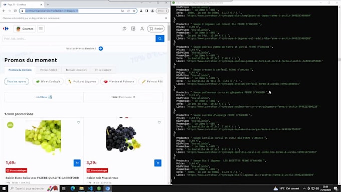 build web scraper, data crawler, app, API, bot
