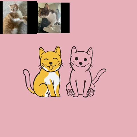 create a cute animal character, mascot, cartoon logo