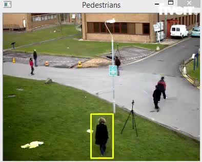 do object detection, segmentation, and image processing