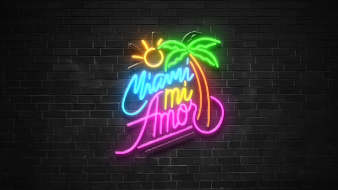 do premium 4k neon sign logo animation video intro