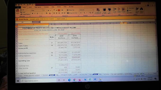 prepare financial statements and do data entry projects