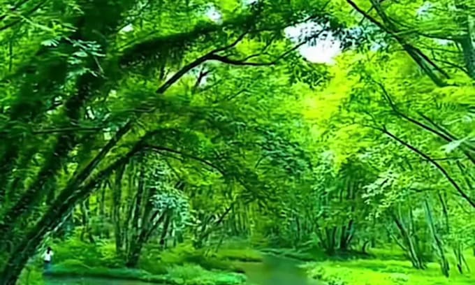 do ai video creation ai image animation synthesia sora kling ai runway invideo