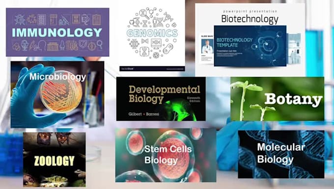 prepare and design best quality powerpoint presentation for you