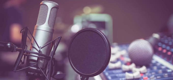 do professional voice over