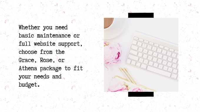 be your number one expert wordpress manager