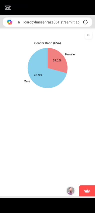 Create app and dashboard using python by Hassanraza051 | Fiverr