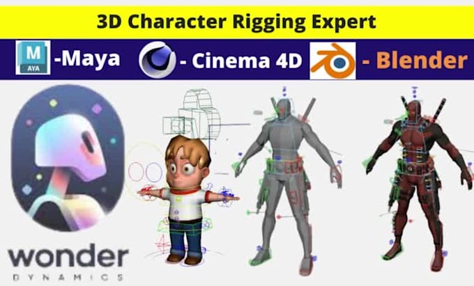 do 3d character rigging in maya, blender, wonder dynamics and auto rig pro