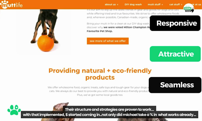 design moneymaking pets dropshipping shopify store website