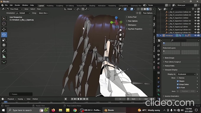rig your any 3d characters professionally in blender