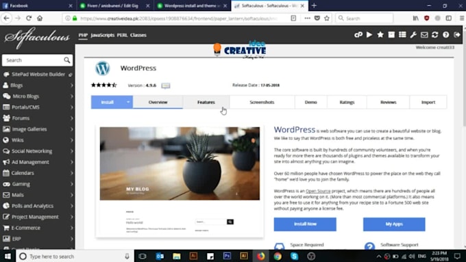 install and customization of wordpress themes
