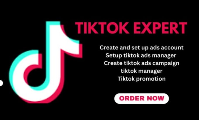 Setup and manage tik tok ads tik tok ads manager tiktok marketing tik ...