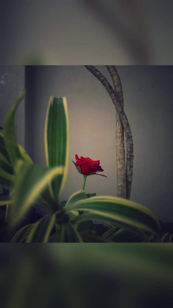 Help you to showcase your art by adding audio effects by