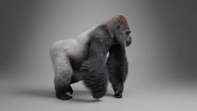 Integrate realistic 3d animal, 3d cgi animal rigging, 3d animal render ...