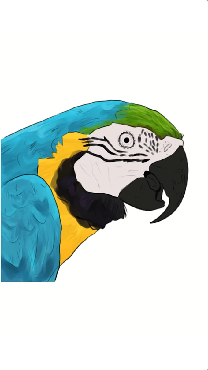 color your illustrations and comic pages