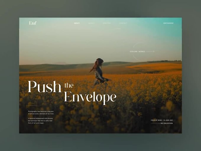 design a professional wix business portfolio website