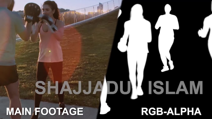 do rotoscoping and green screen remove any shots perfectly