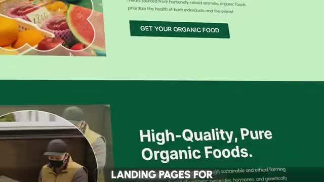 design UI, UX, SEO website using zoloblocks, gutenberg