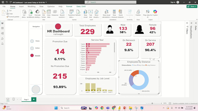 create professional and custom power bi dashboards