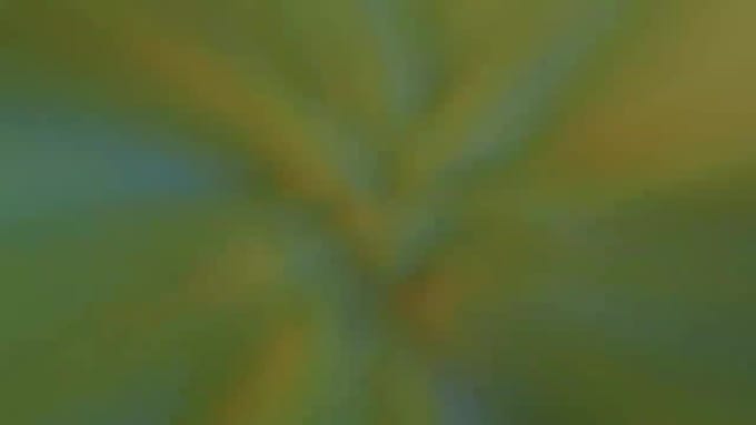 provide professional video editing services