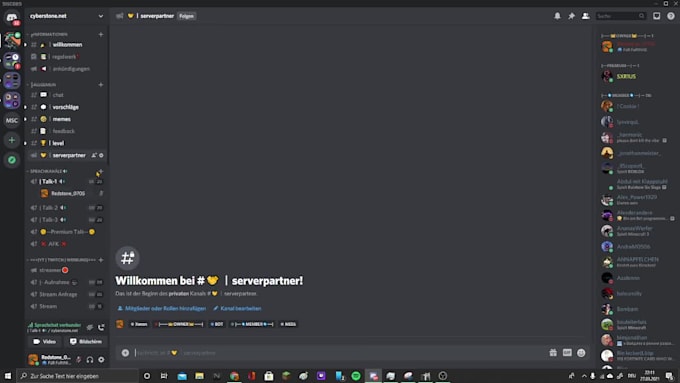 create a professional discord for you