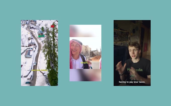 create professional subtitles and captions for your videos