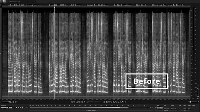 professionally restore and enhance any type of audio