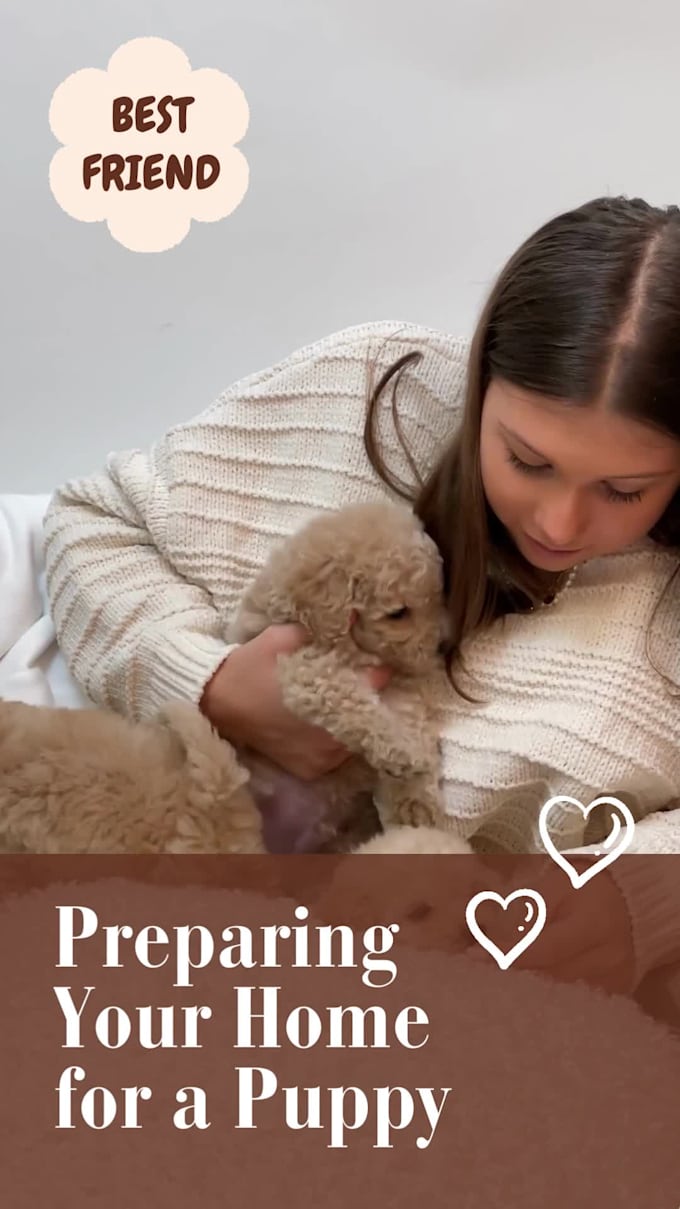 write SEO blog and articles about dogs, cats and all pets