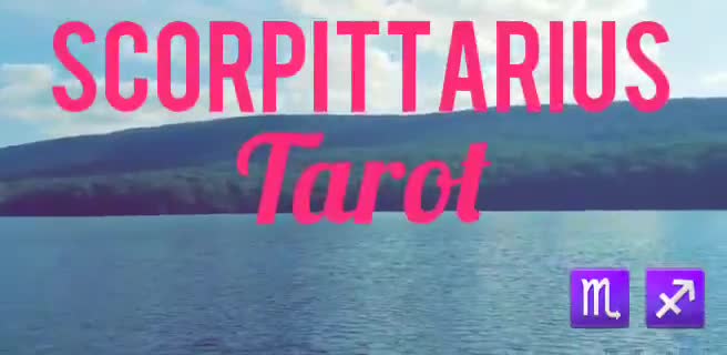 Guarantee A Personal Love Tarot Reading Within 24 Hours By Scorpittarius8 As a scorpittarius i find it extremely hard to stay in the present. fiverr