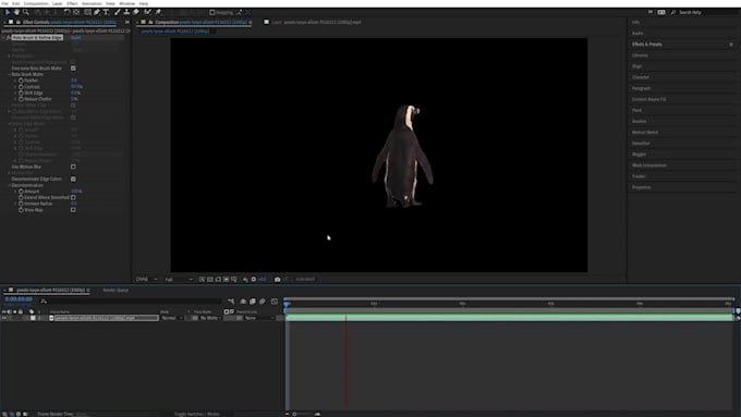 removal video background  and footage clean edits pro