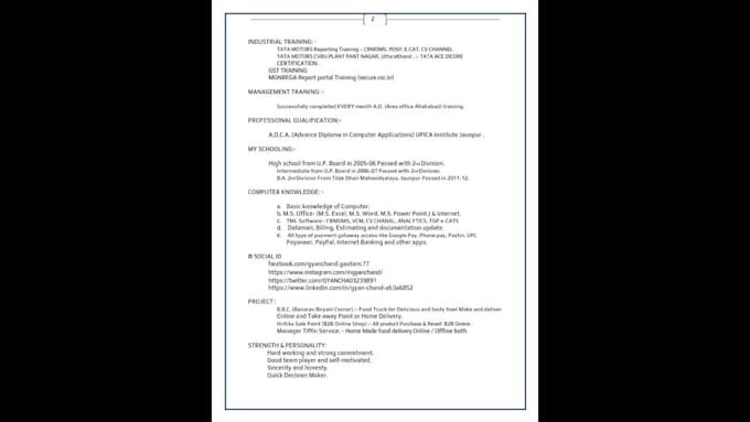 do create professional resume for you