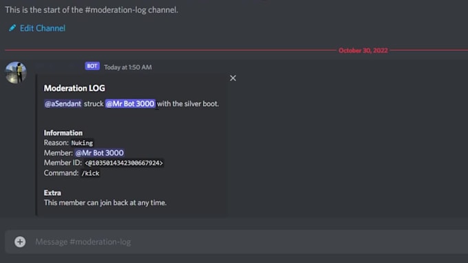 create a private discord bot for you