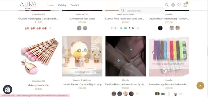 build your shopify store, dropshippping ecommerce store