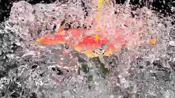 do 3d water simulation, 3d fluid animation, 3d water splash, 3d liquid animation