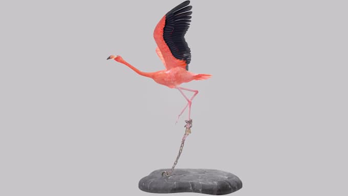 create 3d animated cartoon