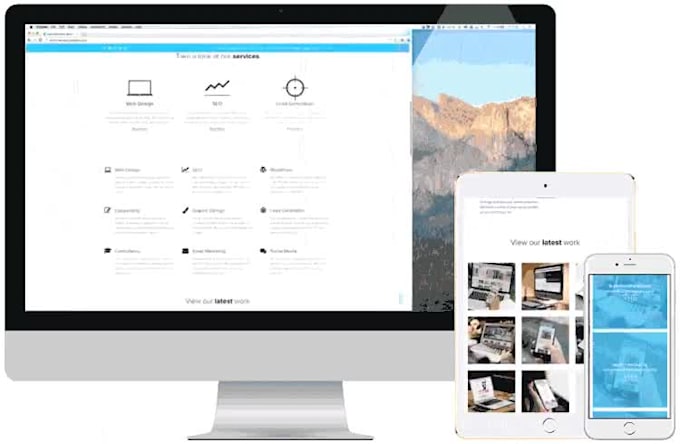 build, rebuild or modify your wordpress ecommerce website