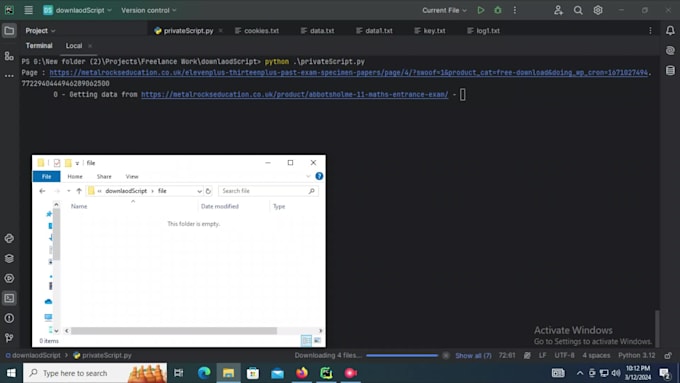 do python web scraping, data mining, and website automation