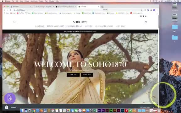 professional wordpress web development