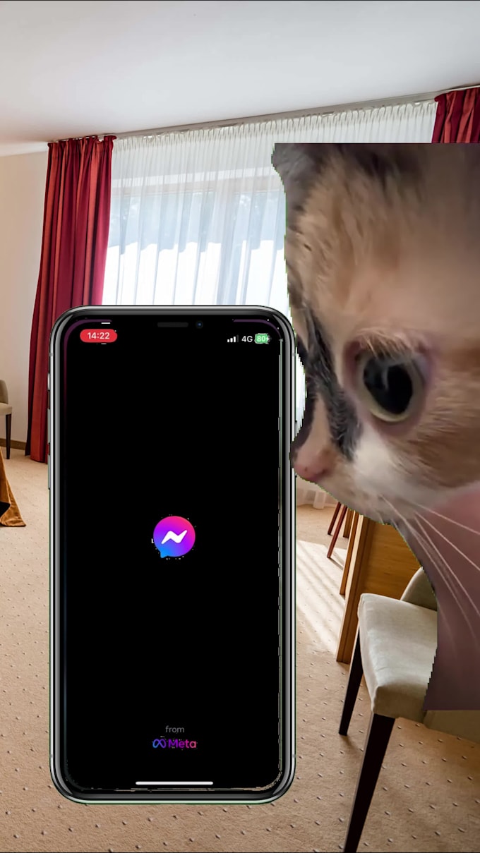 create a funny viral video with trending kittens