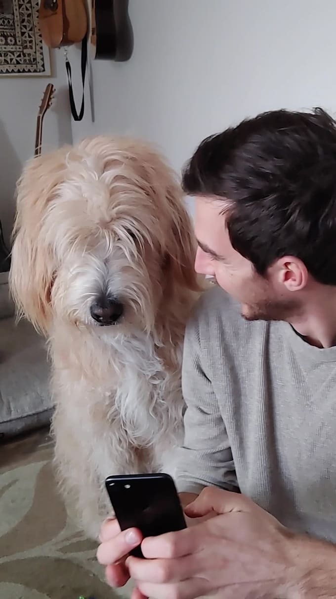 be your dog actor model or spokesperson