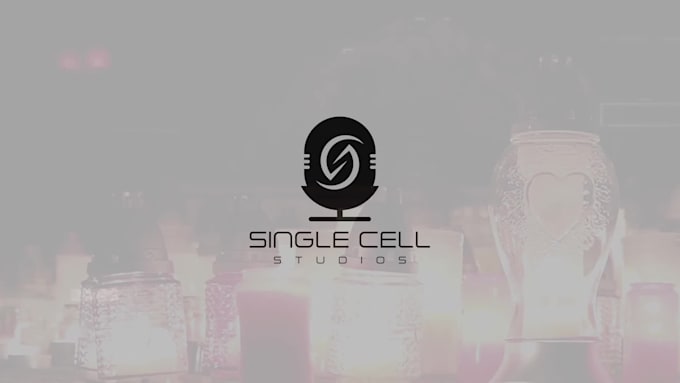 professionally mix and master your song of any genre