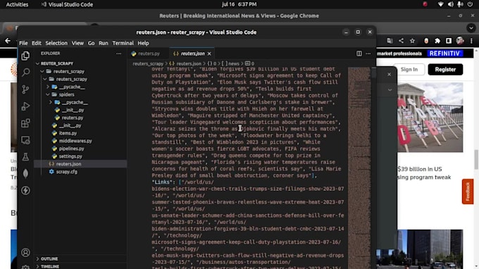 do professional web scraping, and automation with python