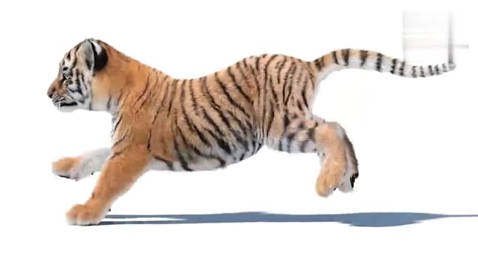 create realistic 3d animal animation, 3d animal rigging, 3d animal model cgi vfx