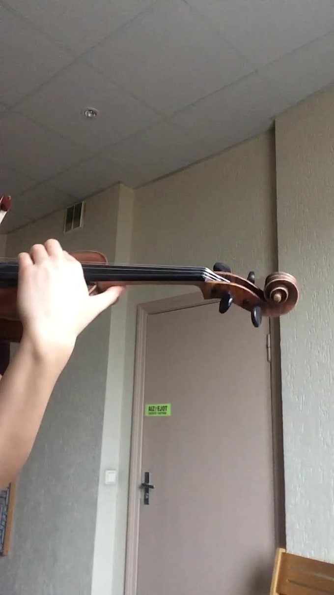Teach how to improve your violin skills by Artalipora Fiverr