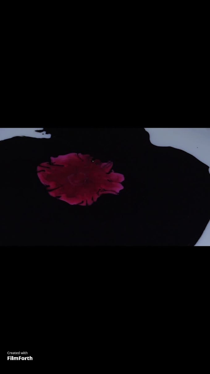 Create eye catching flyers by Michaelkgichia | Fiverr