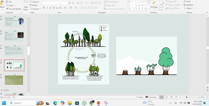 make suitable presentation for you