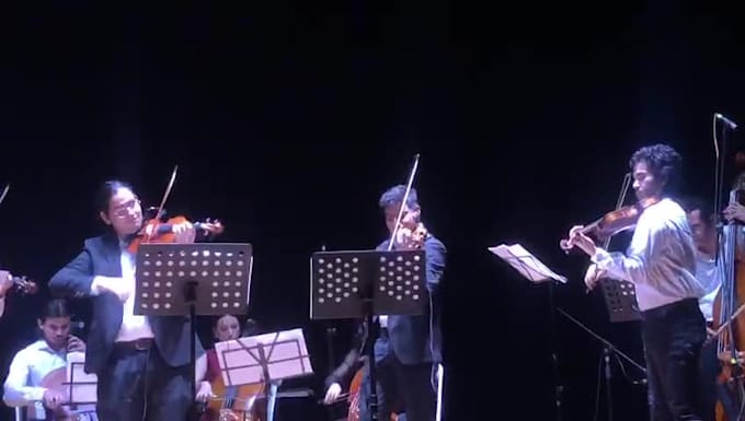 do a month of violin lessons